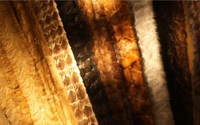 Fudon Fur Co., LTD.